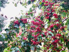 -春晖园度假酒店温泉