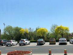 景观位-秦皇国际大酒店·自助餐