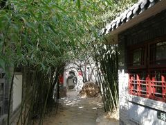 -老张烤羊(王哥庄店)