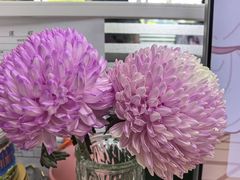 -盒马鲜生(岭南新世界店)