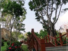 -深圳国际园林花卉博览园