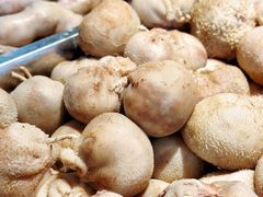 -正蓝旗草原特蒙餐