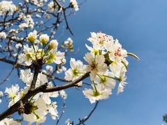 -名花谷生态庄园