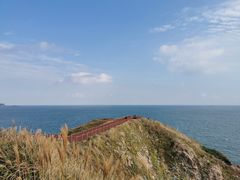 -枸杞岛