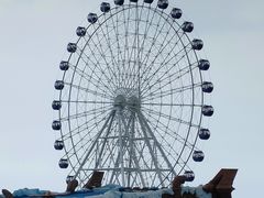 -秦皇岛乐岛海洋王国