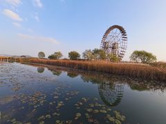 -苏州太湖国家湿地公园