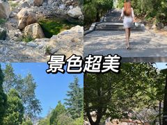-禅宗少林·音乐大典