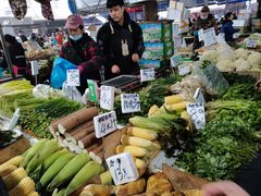 -树木岭集贸市场(劳动东路)