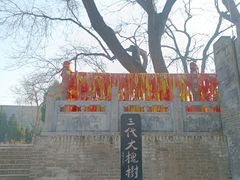 -大槐树寻根祭祖园