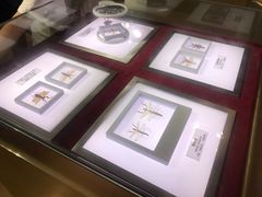 -上海昆虫博物馆