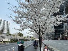 -新天地活力PARK