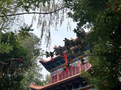 -宝通禅寺