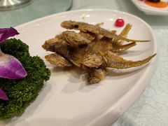 -金米箩大酒店(五角场店)