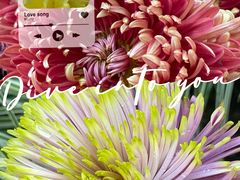 -杭州植物园