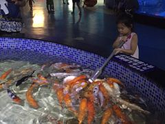 -烟台海昌鲸鲨海洋公园