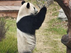 -无锡动物园·太湖欢乐园