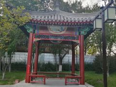 -西海子公园
