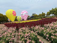 -广东花都香草世界旅游度假区