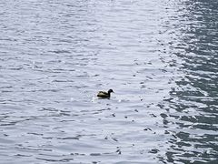 -天鹅湖体育公园