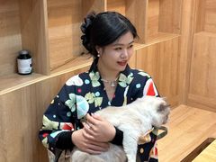 -是阿柴呀！柴犬咖啡·爱喵喵猫咖