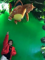 -恐龙探索乐园(磁器口店)