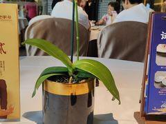 -顺德渔村·岭南一号