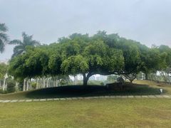 -南宁南湖公园