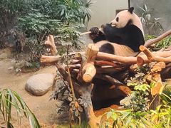 -香港海洋公园