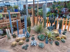 -三圣花乡旅游区