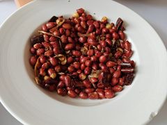 -大鸭梨烤鸭(青塔店)