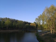 -东郊湿地公园