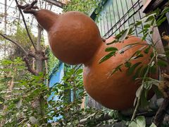 -呀路古热带植物园