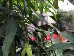 -汤山翠谷生态餐厅