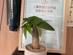 -爱妮康宠物医院·干细胞免疫细胞·肿瘤·心脏(张江店)