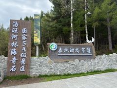 -汤旺河林海奇石景区