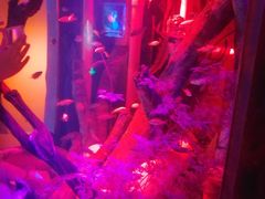 -沈阳海洋探索中心