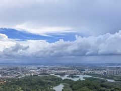 -大屏嶂森林公园