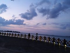 -万绿园
