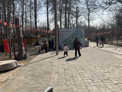 -1982农场