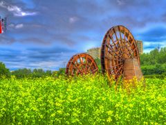 -长春公园(普阳街道)