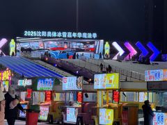 -沈阳奥体冰雪嘉年华