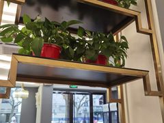 -新名仕(仙霞路店)