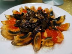 -西木兔(大圆祥店)