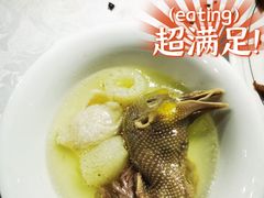 天麻鸽子汤-琬苑鸽庄·川粤融合菜(解放碑总店)