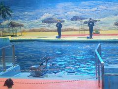 -福州罗源湾海洋世界旅游区