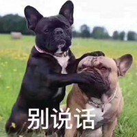 -保定金棕榈先天下国际影城(LUXE)