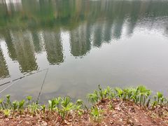 -重庆彩云湖湿地公园