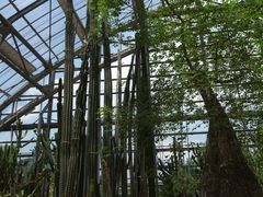 -南山植物园