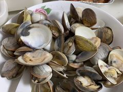 -启东黄金海滩景区