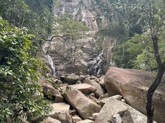 -海南霸王岭国家森林公园